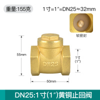艾克心 DN25 1寸卧式黄铜止回阀155克软密封 5个/组(单位:组)