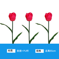 艾克心 户外景观灯 郁金香接电款 总高65cm 暖光 软胶+PU杆 DC24V 10支/组(单位:组)