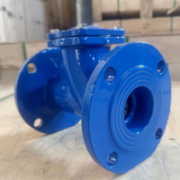 艾克心 球形止回阀 DN100 L=300mm(单位:个)