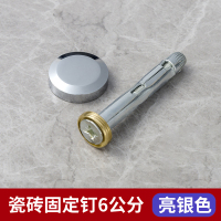 美瑞欧 瓷砖固定钉 斜边加强型亮银6公分长 10个/组(单位:组)