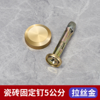 美瑞欧 瓷砖固定钉 斜边加强型铜原色5公分长 10个/组(单位:组)