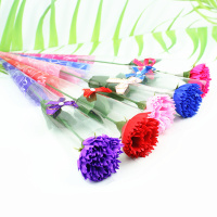 汇特益 母亲节单支香皂康乃馨干花混色 150支/组(单位:组)