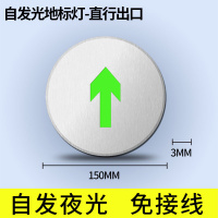 美瑞欧 免接电疏散指示灯自发光荧光消防地标灯嵌入式指示牌 不锈钢单向直行出口150MM*3MM 10个/组(单位:组)