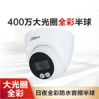 大华(alhua) 摄像头 2.8mm镜头POE供电带录音DH-IPC-HDW2433T-A-LED-V2 (单位:台)