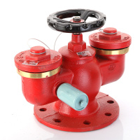 汇特益 多功能水泵接合器多用式球墨铸铁地下铜扣消防水泵接合器 国标DN100地下式(单位:个)
