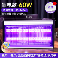 汇特益 灭蝇灯 诱捉苍蝇神器 餐厅饭店用商铺驱蚊灯 电杀蚊灯 插电款含挂链 增强版60W 40-245平方(单位:个)