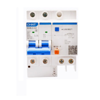 正泰(CHNT) 漏电保护开关空调开关漏电开关漏保NXBLE系列 2P 16A(单位:个)