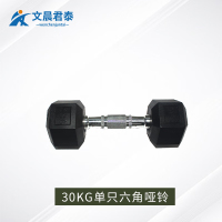 文晨君泰 体能训练器材包胶哑铃练臂肌 30KG单只六角哑铃