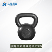文晨君泰 力量/体能训练器材提壶哑铃 壶铃铸铁烤漆12KG