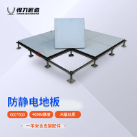 悍刀匠造防静电地板 聚氯乙烯贴面木基地板 含安装(每平方)