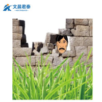文晨君泰 靶纸 野外训练用靶纸军迷物资打靶器材 头部靶50张