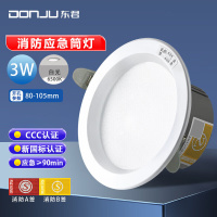 东君(DONJU) LED应急消防筒灯 DJ-05G 应急3.5寸筒灯 3W白光 10个/组 (单位:组)