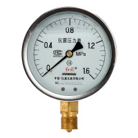 红旗 耐震压力表YTN-100 径向抗震压力表充油压力表水压表气压表油压表0-1.6Mpa(单位:个)