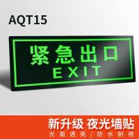 Hittery 安全出口疏散应急消防通道逃生提示牌自发光夜光荧光墙贴贴纸紧急出口标识 10个/组(单位:组)