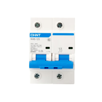 正泰(CHNT) 小型断路器 NXB-125 2P 63A C型(单位:个)货期4天