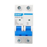 正泰(CHNT) 小型断路器 NXB-63 2P D2A (单位:个)货期4天
