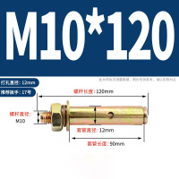 美瑞欧 镀彩锌铁膨胀螺栓 膨胀螺丝膨胀钉 M10*120 彩锌 2个/包 5包/组(单位:组)