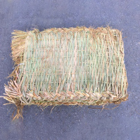 汇特益 防滑草包草垫 [双层]防滑草垫子50*85-90cm/张 5张/组(单位:组)