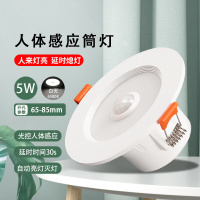 汇特益 led人体感应筒灯 红外天花灯嵌入式走廊楼道筒灯 2.5寸5W 白光开孔65~85mm (单位:个)货期5天