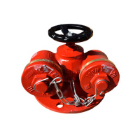 美瑞欧 室外消火栓 水泵接合器地下 SQD100-1.6 法兰式 (单位:个)