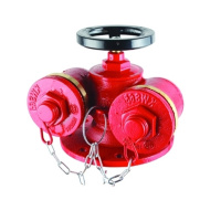 Hittery 室外 消火栓 水泵接合器 地上 SQD100-1.6 法兰式 (单位:个)