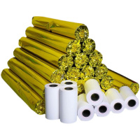 汇特益 消防打印纸 适用于海湾JB-QGgst5000型 55mm 100卷/组 (单位:组)