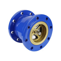 汇特益 单向逆止阀 法兰止回阀 HC41X-16Q DN65国标球铁(定制长度18cm)(单位:个)货期9天