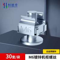 恒德升 机柜螺丝卡扣螺母M6机柜专用十字图腾机柜固定螺丝理线架层板螺丝 30套装 HDS-A499S-WDT225