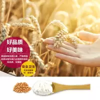 今粮道粗粮面传统工艺小麦粉 面条包子馒头饺子面粉 石磨面粉 2.5KG