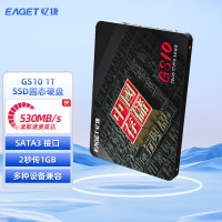 忆捷(EAGET)SSD固态硬盘 GS10长江存储晶圆 国产TLC颗粒 SATA3.0接口高速读写1TB