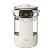 HYUNDAI(现代)电热水壶(电开水瓶)RC-K25A 2.5L