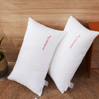 红蜻蜓羽丝绒舒适对枕HQT-3016 48×74cm×2