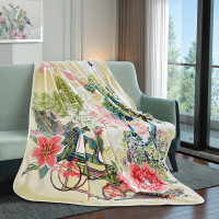 富安娜(fuanna)德鲁酒庄法兰绒毯180*200cm(1080g)(单位:床)