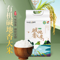 天地粮人碱地香米5kg*1袋