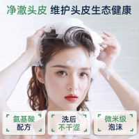 采乐茶树精油控油去屑洗发水300ml CP310