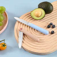 张小泉/ZHANGXIAOQUAND21320100瓜果刀/刨炫彩·缘系列折叠水果刀-折叠款 1把(单位:把)