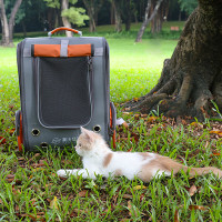 漫沃星系MANWOGA宠物背包 MC-B202橙色(单位:个)