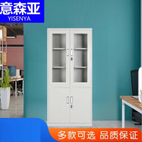 意森亚(YiSenYa)文件柜铁皮柜子档案柜资料大器械文件柜 1850*850*390mm(单位:个)