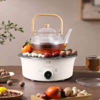 大宇(DAEWOO)电陶炉多功能家用围炉煮茶器烧水煮茶炉 DYWL-80D5 (单位:个)