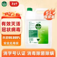 滴露消毒液 5L