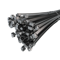 赛时工控(SHSSGK) SKSZ5-1535 5.0*350mm 100支 自锁式尼龙扎带 (计价单位:包) 黑