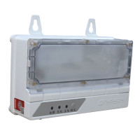 华荣(WAROM)HR-ZFZD-E7.5W(Ⅱ)-4(GW)、照明功率7.5W、防护等级IP65、电压等级220V、光