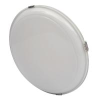 通明 ZY5302-L24 24W 5000K IP65 工作灯(吸顶灯) (计价单位:台) 白色