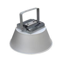 恒盛(HS) WF226T-100W 100W、IP66、电压等级:AC220V、白光/约5700K、LED、(含灯罩安装) LED泛光灯 (计价单位:个) 灰色