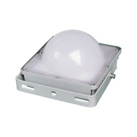 恒盛(HS) WF212A 50W、IP66、电压等级:AC220V、白光/约5700K、LED LED泛光平台灯 (计价单位:个) 灰色