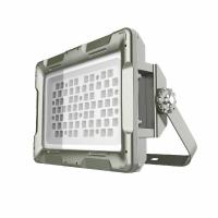 欧辉照明(OHUIZAOMIN) OHBF8260 280W IP66 AC220V 白光/5700K LED防爆灯 1