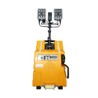 深照紫光 M1003-2*30W 功能照明系统 1.00 台/套 (计价单位:套)色