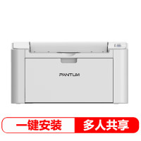 奔图(PANTUM) P2505N 黑白激光打印机 (计价单位:台) 白色
