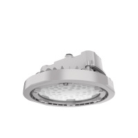 欧辉照明(OHUIZAOMIN) OHSF9196-100W IP66 AC220V 5700K白 LED三防灯 个灰色