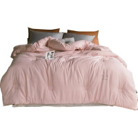 婵思 TJ0EOE2100648 220*240cm 总重8.4斤填充2750克 有有大豆 春秋被 1.00 件/床 (